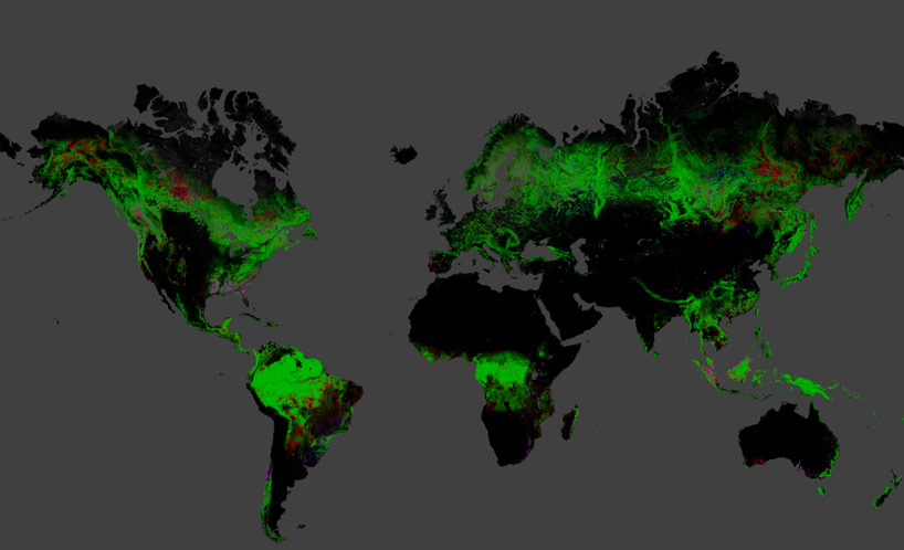 google highlights global deforestation with interactive map