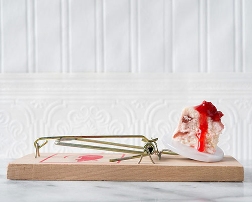gourmet mouse traps by davide luciano and claudia ficca