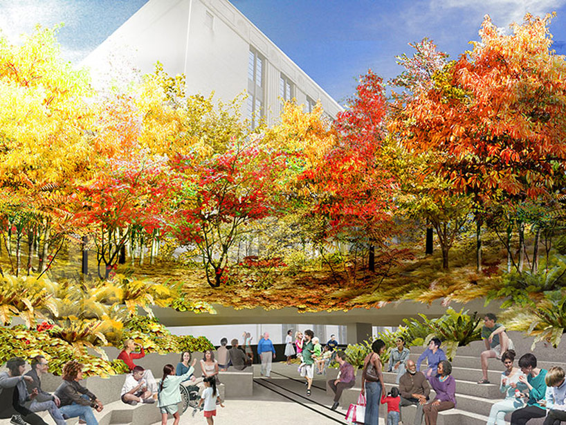 immersive green bowl proposed for the high line's final phase
