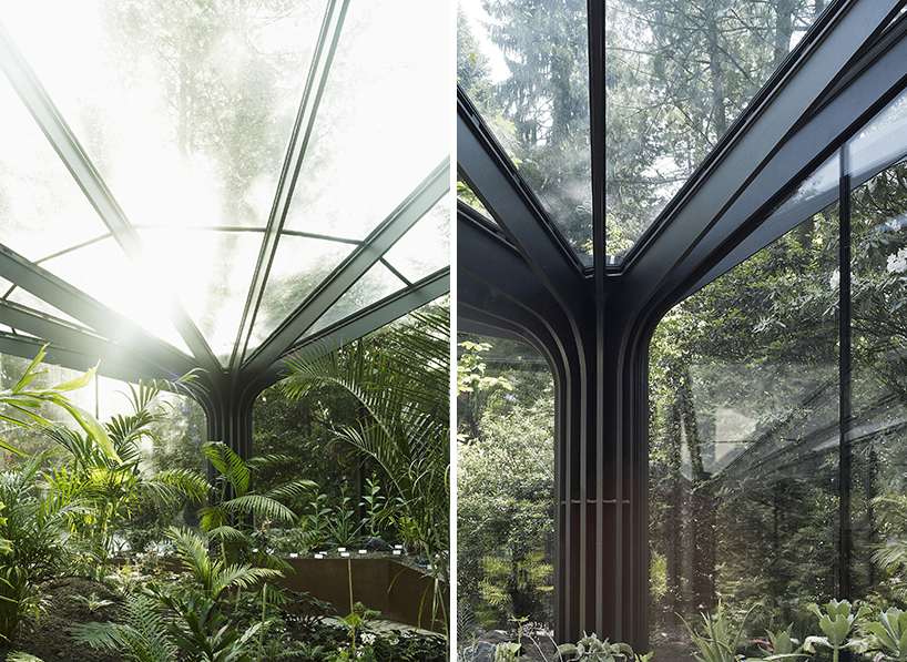 ida_botanical_db_01 idA's steel forest in grueningen, switzerland