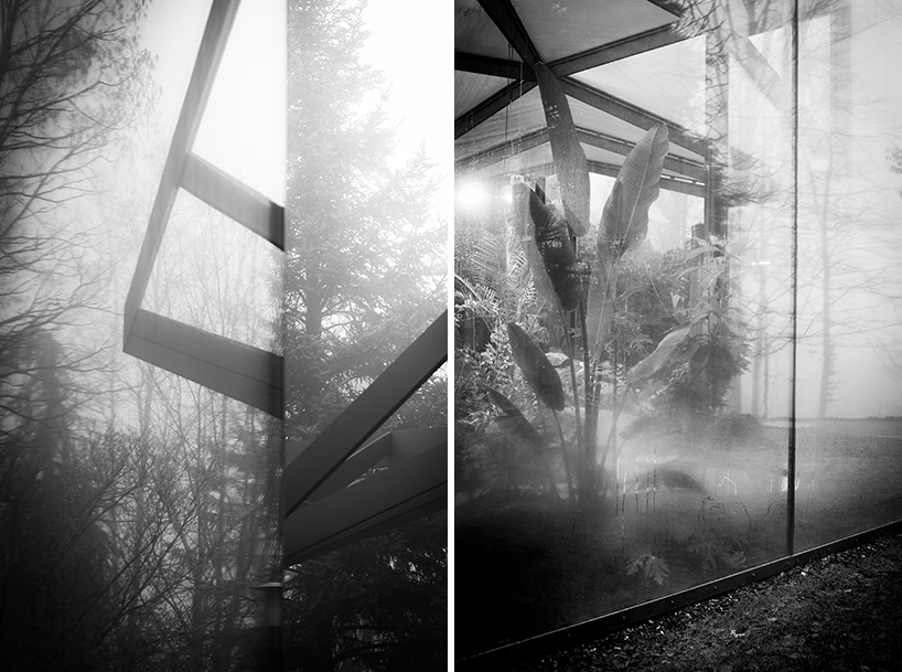 ida_botanical_db_01 idA's steel forest in grueningen, switzerland