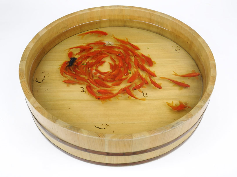 riusuke fukahori intricately paints swimming goldfish with resin
