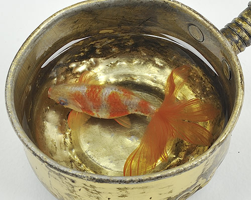 riusuke fukahori intricately paints swimming goldfish with resin