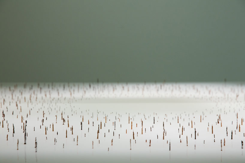 toni kanwa hand carves 1000 needle-sized wooden sculptures 