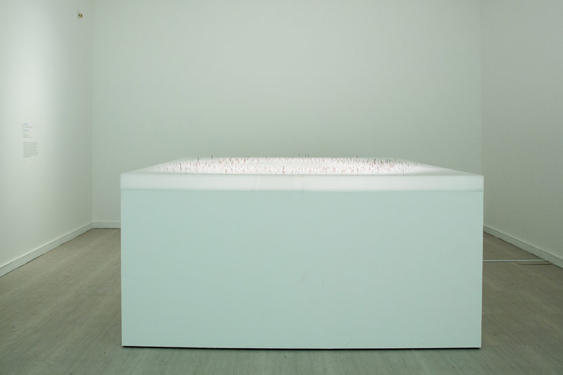 toni kanwa hand carves 1000 needle-sized wooden sculptures 