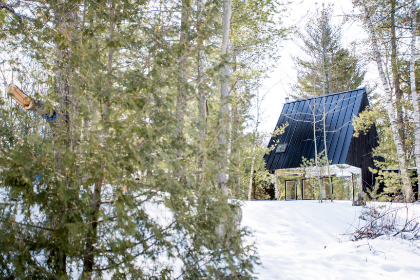 uufie reinterpret tree house in canadian lake cottage