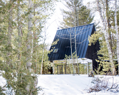 uufie reinterpret tree house in canadian lake cottage 