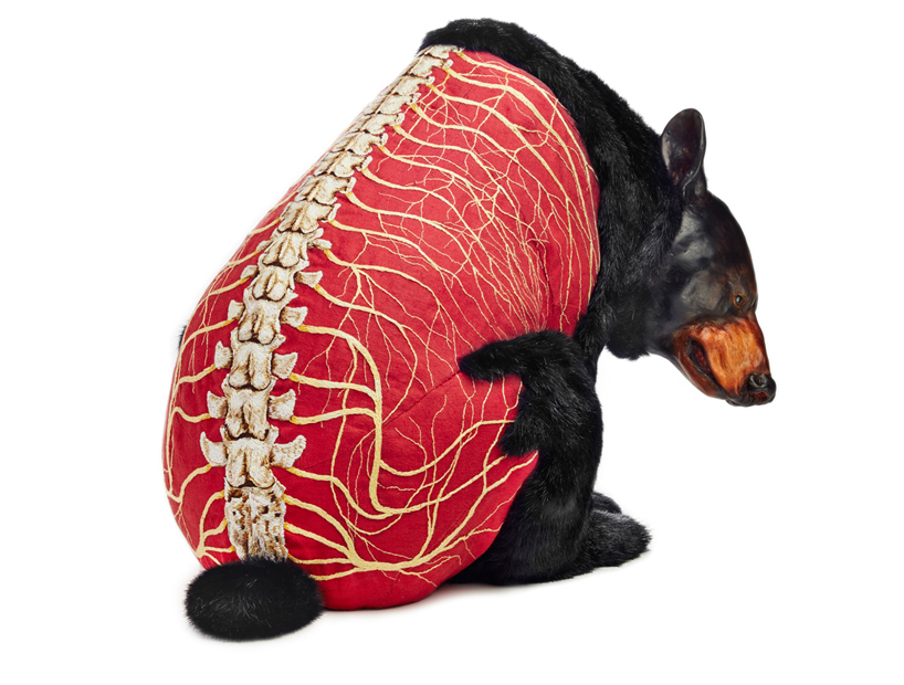 deborah simon embroiders the furless anatomy of bears