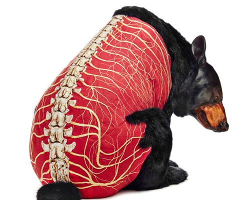 deborah simon embroiders the furless anatomy of bears