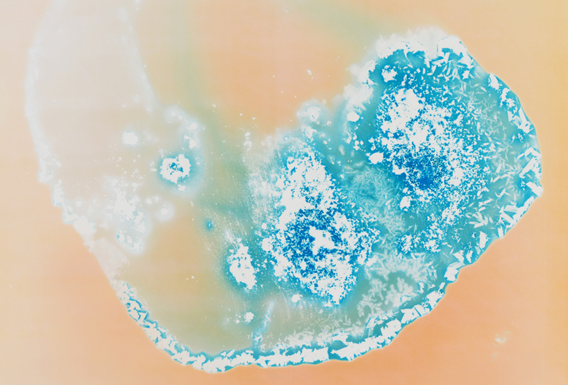 all you can feel: recreational drugs put under the microscope