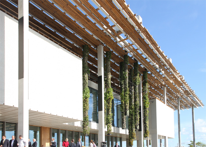 herzog de meuron perez art museum miami designboom