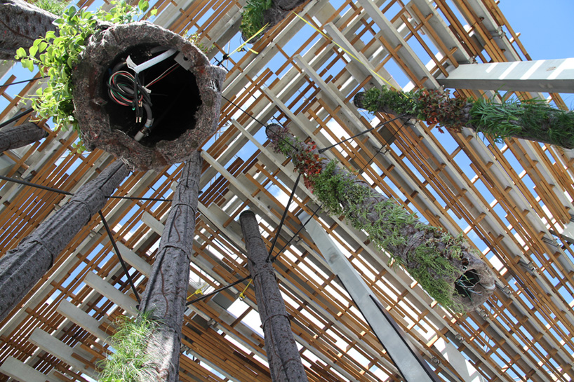 herzog de meuron perez art museum miami designboom