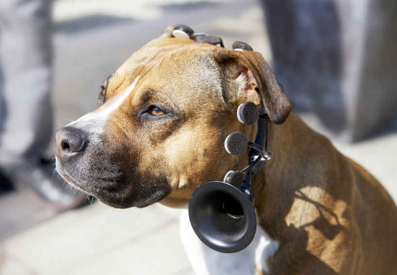 in-ear-device-that-translates-foreign-languages-in-real-time