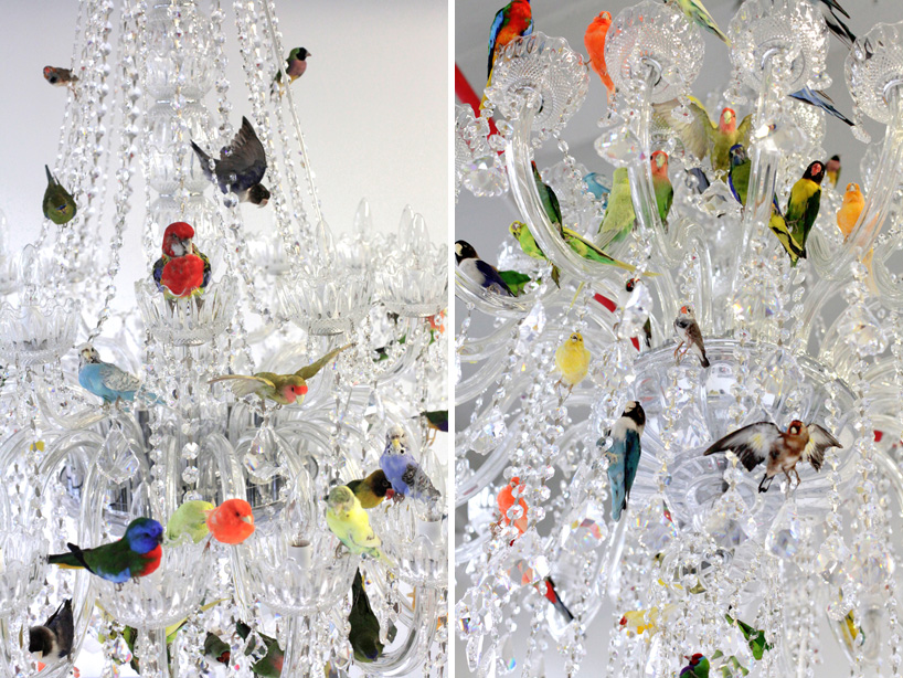 sebastian errazuriz XL bird chandelier designboom sebastian errazuriz perches taxidermied birds on a chandelier