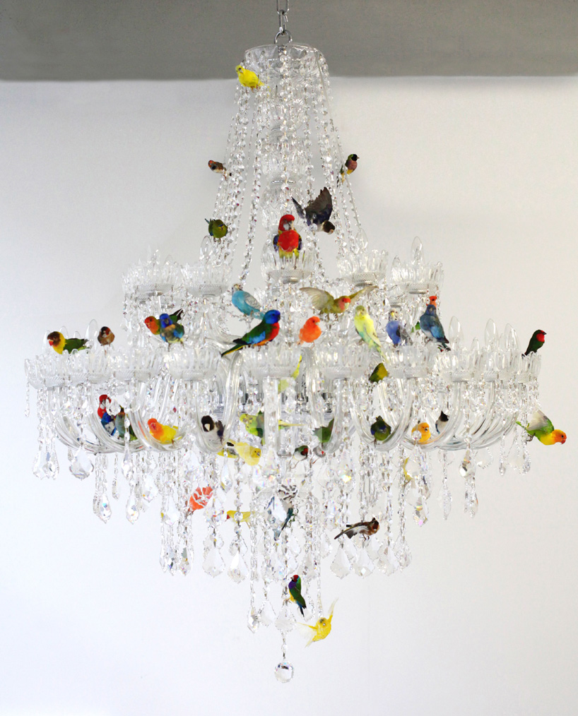 sebastian errazuriz XL bird chandelier designboom sebastian errazuriz perches taxidermied birds on a chandelier