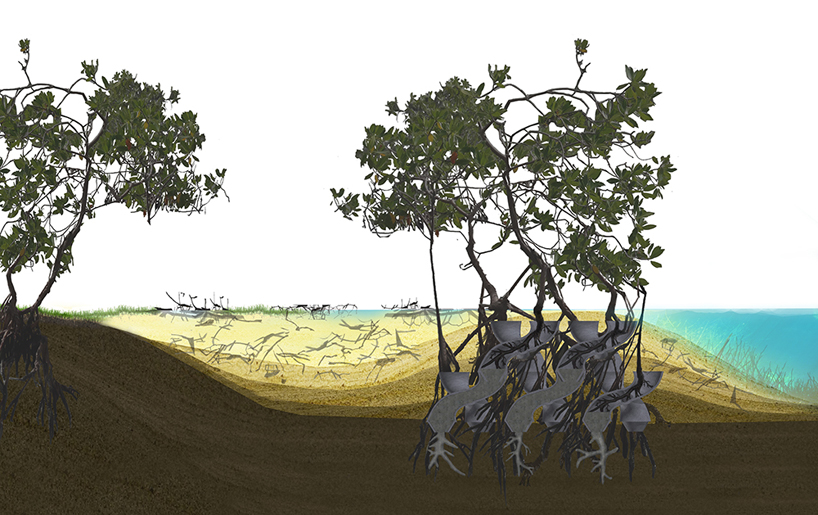 szovetseg'39 saves critical shorelines with caltrope system