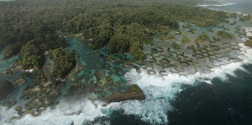 szovetseg'39 saves critical shorelines with caltrope system