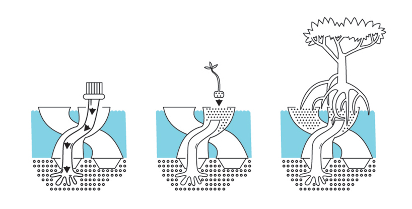 szovetseg'39 saves critical shorelines with caltrope system