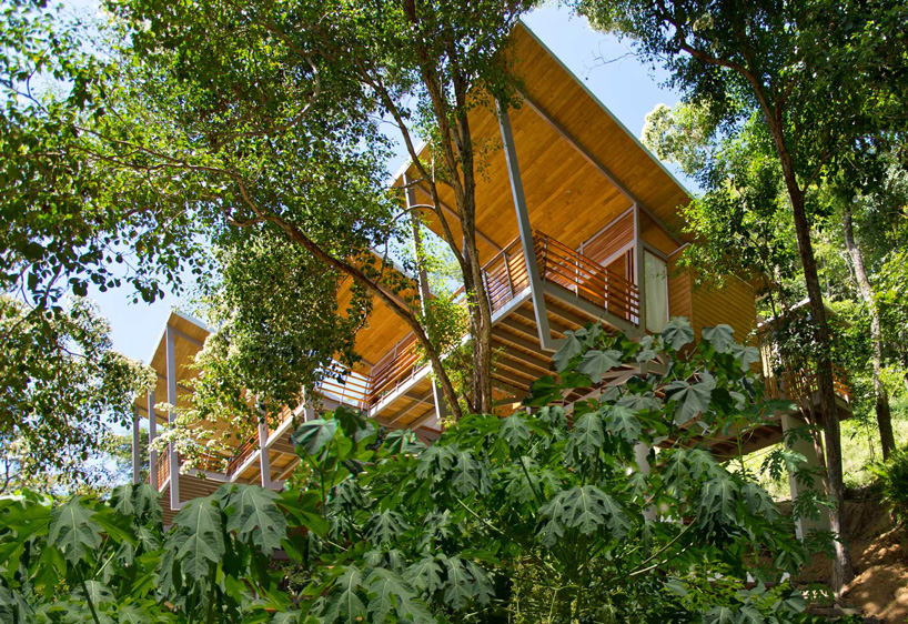 benjamin garcia saxe elevates casa flotanta above the trees