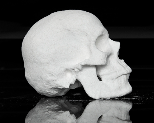 diddo sculpts a life-sized human skull out of street cocaine