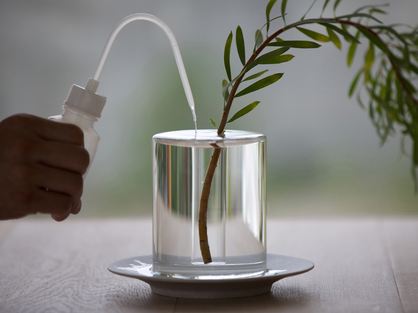 kazunaga sakashita overflows water surface in crystal vase