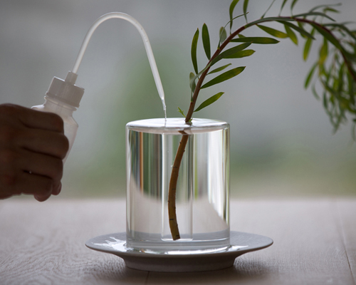 kazunaga sakashita overflows water surface in crystal vase