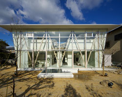 light-filled green house by maniera architects and associates