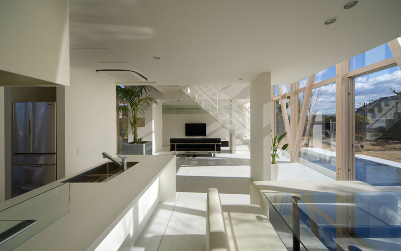 light-filled green house by maniera architects and associates