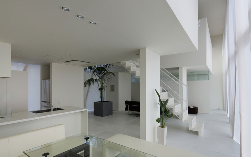 light-filled green house by maniera architects and associates