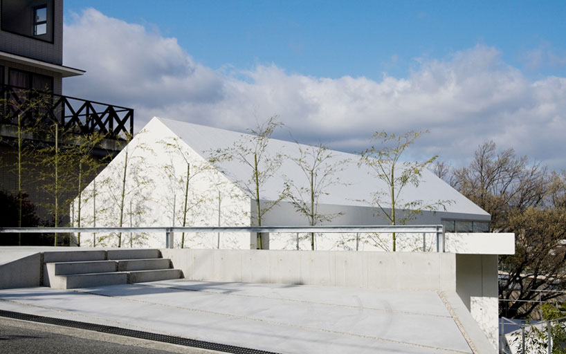 house with oak tree by maniera architects and associates
