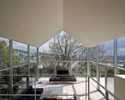 house with oak tree by maniera architects and associates