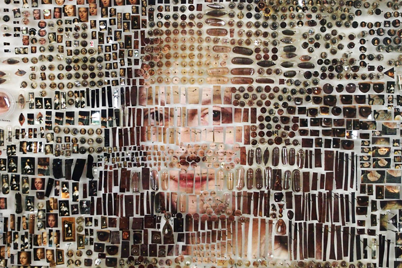 hundreds of specimens make dutch portraits by michael mapes