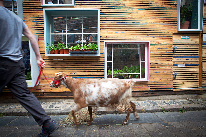 notch collective recycles hackney into sill to sill shop