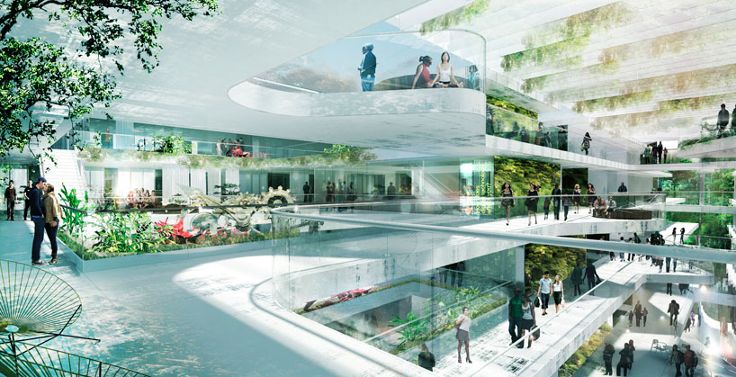 schmidt hammer lassen island school in hong kong designboom