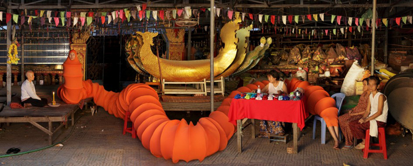 the buddhist bug project travels through cambodia