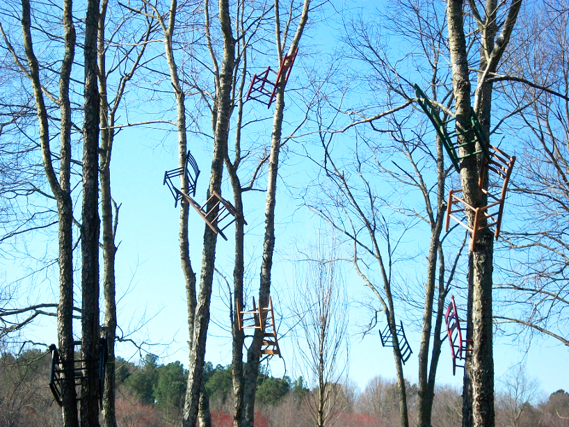 tom shields attaches discarded wooden chairs to forest trees