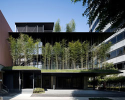 yutaka kawahara shades ekouin nenbutsudo temple with bamboo