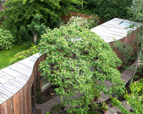 6a architects builds wheelchair accessible 'tree house' in london