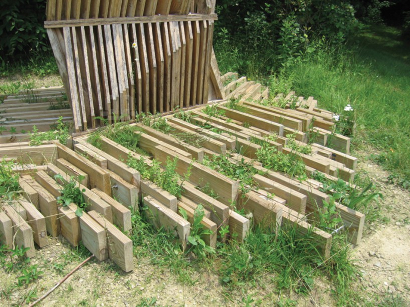 battower_ants_of_prairie_designboom05