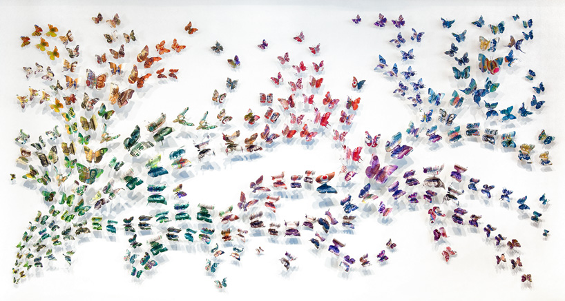 currency-butterflies-by-erika-harrsch-designboom-05