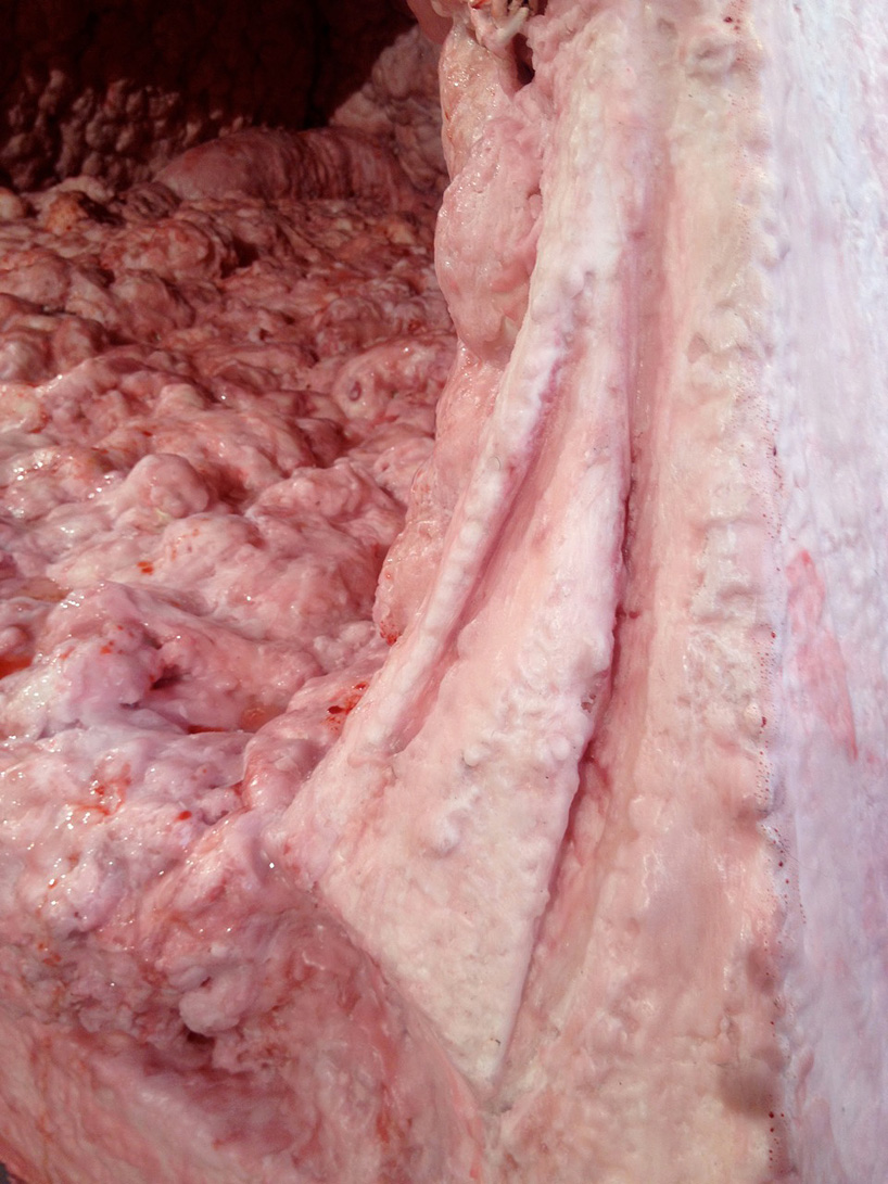 intestine-tent-sculpture-by-andrea-hasler-designboom-01