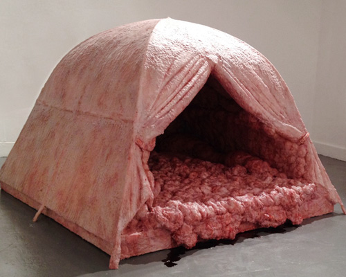 fleshy intestine tents by andrea hasler recognize nuclear consequences