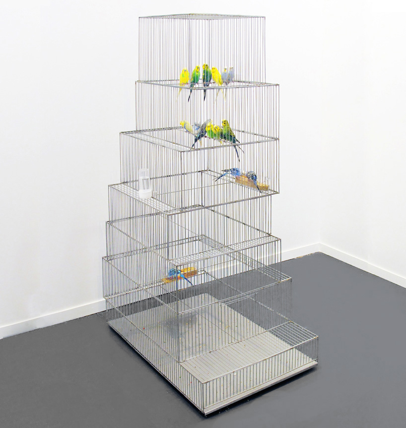 museum bird cages by marlon de azambuja