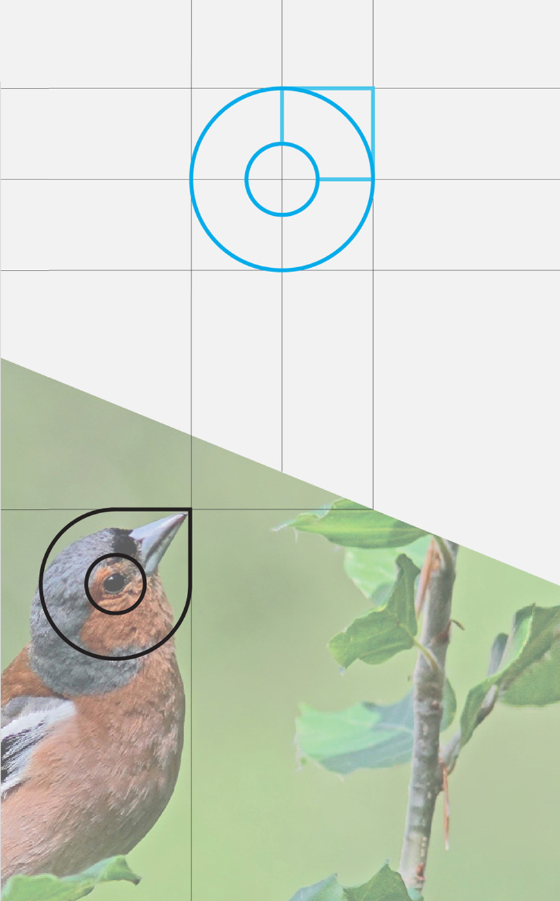 roberto manzari rebrands twitter with simplified logo