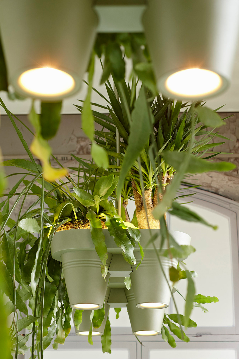 bucketlight by roderick vos brings the rainforest into the home
