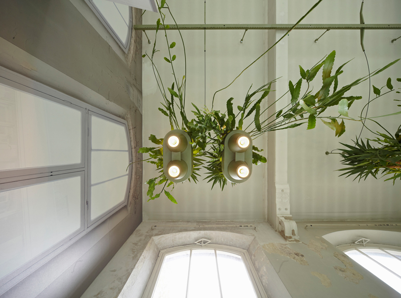 bucketlight by roderick vos brings the rainforest into the home