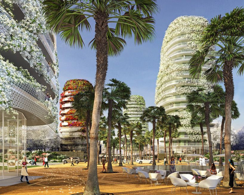 edouard francois plants the gardens of anfa in morocco