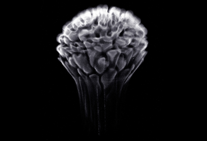 fabien oefner creates ephemeral fire sculptures with exploding alcohol