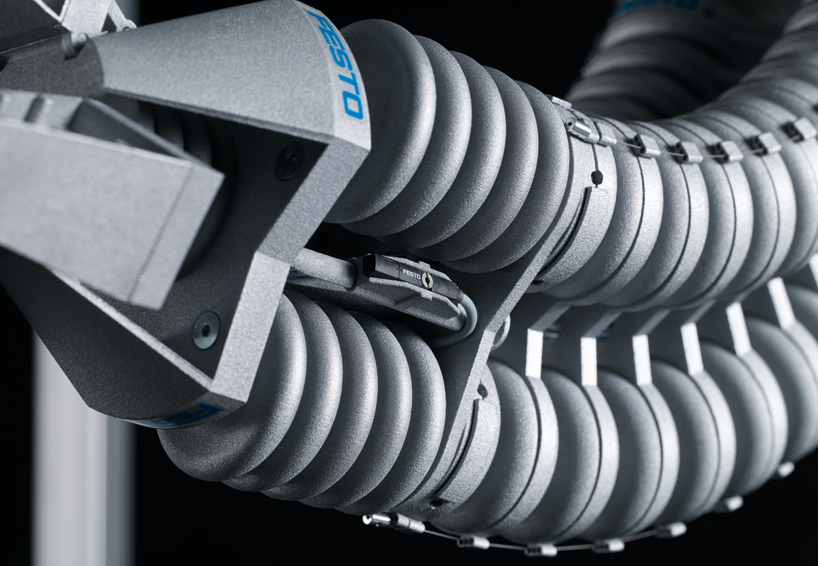 elephant trunk influenced bionic handling assistant by festo learns like a baby