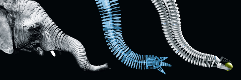 elephant trunk influenced bionic handling assistant by festo learns like a baby